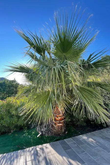 Villa St. Julian – Maison 6 pers. piscine chauffée Montferrat : photo 24