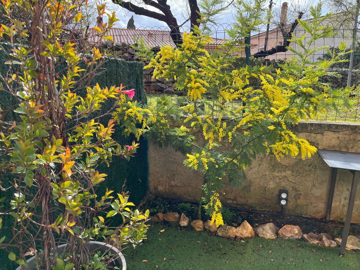 Appartement 4 p à Bandol, jardin privé et parking - Photo 11