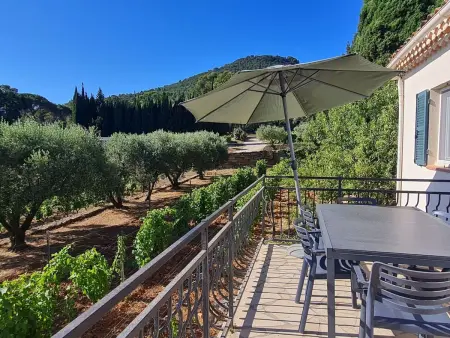 Location maison à Le Pradet, im Herzen der Weinberge, schattige Terrasse umgeben von Grün, Pool