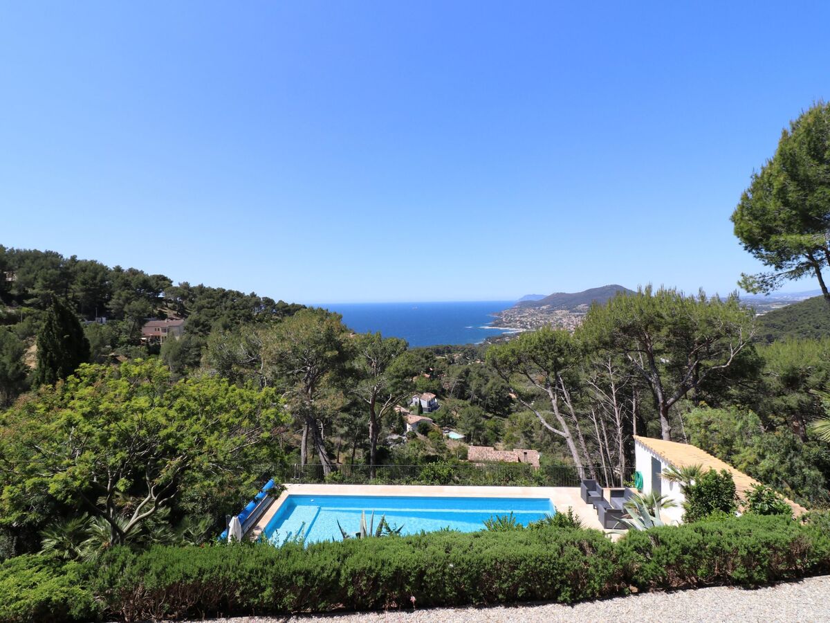 Villa Mesomax, appartement 6 pers. vue mer à Carqueiranne - Photo 19