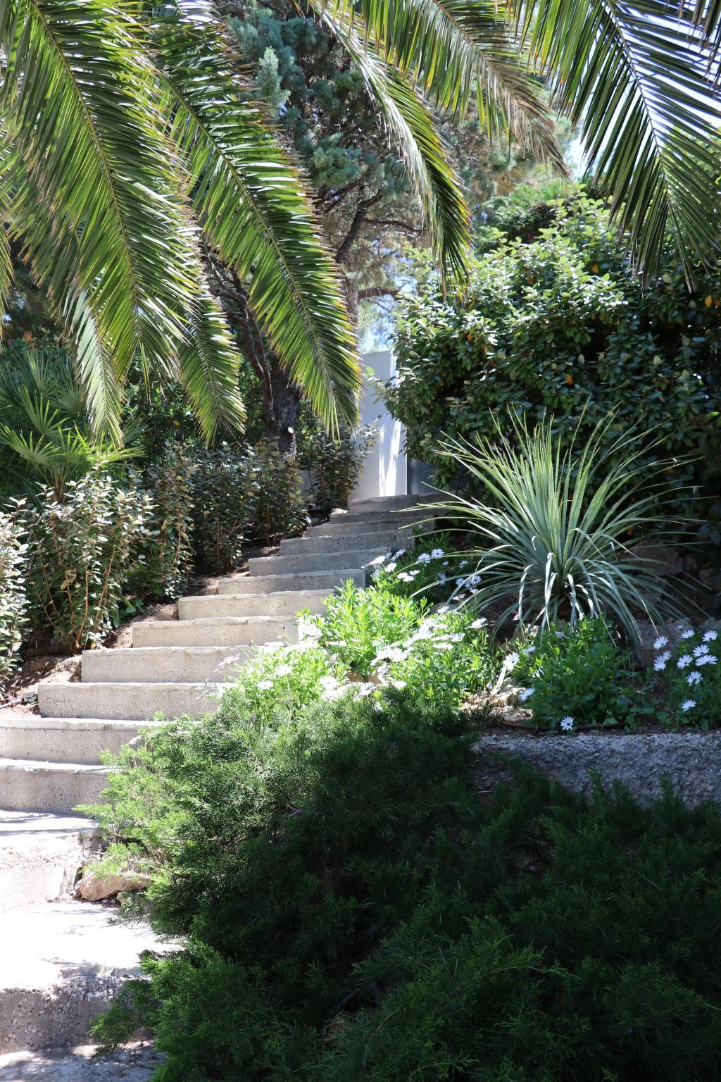 Villa Mesomax, appartement 6 pers. vue mer à Carqueiranne - Photo 21