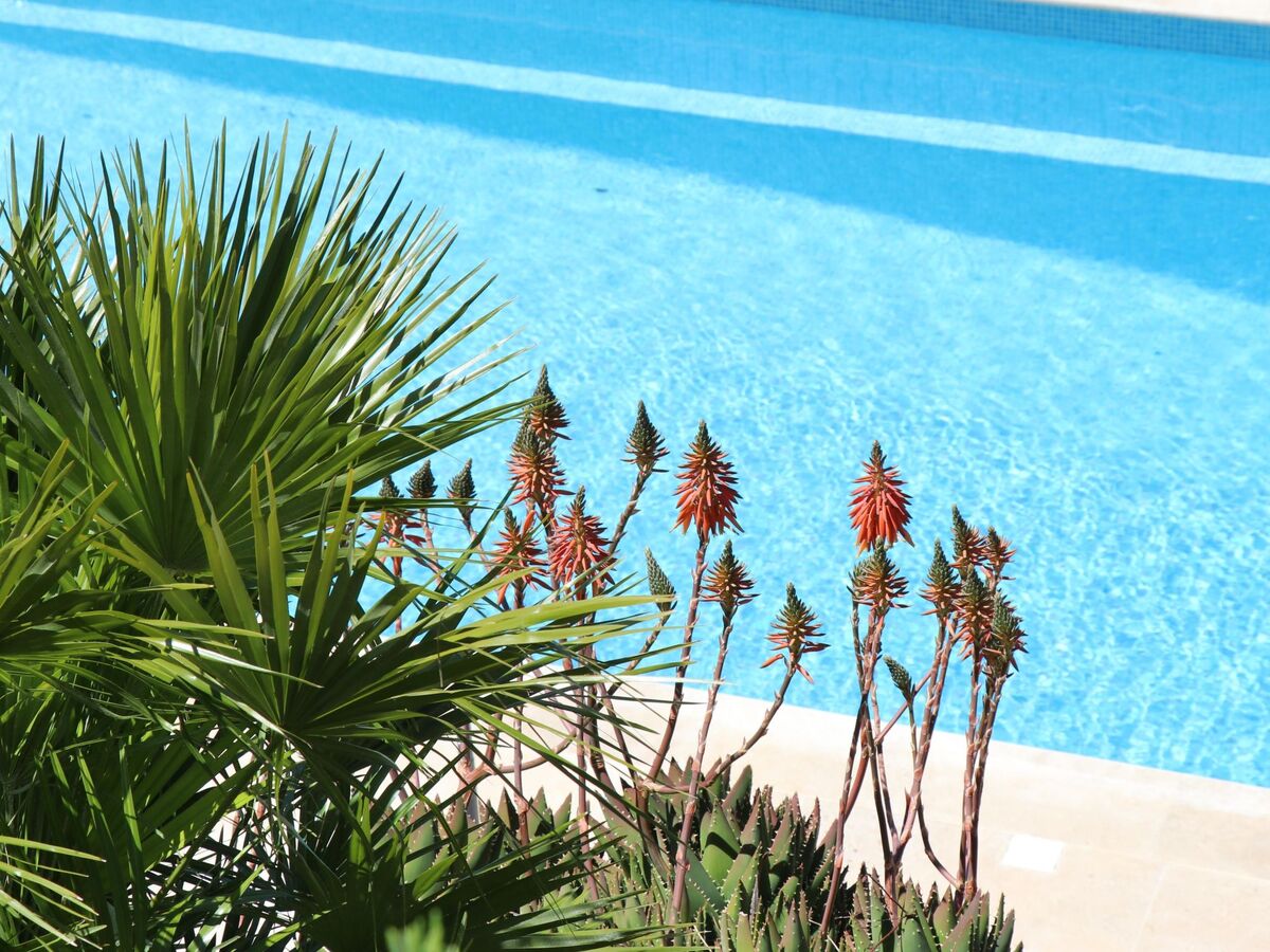 Villa Mesomax, appartement 6 pers. vue mer à Carqueiranne - Photo 25