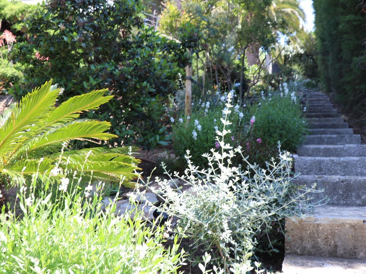 Villa Mesomax, appartement 6 pers. vue mer à Carqueiranne - Photo 26