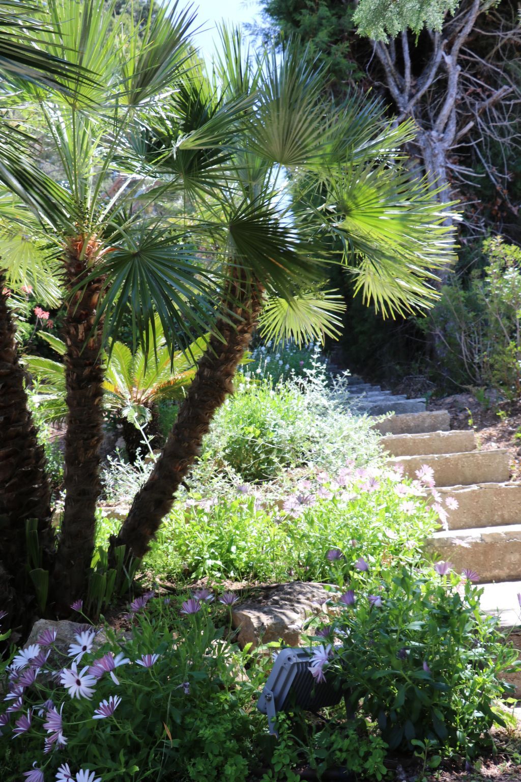 Villa Mesomax, appartement 6 pers. vue mer à Carqueiranne - Photo 28