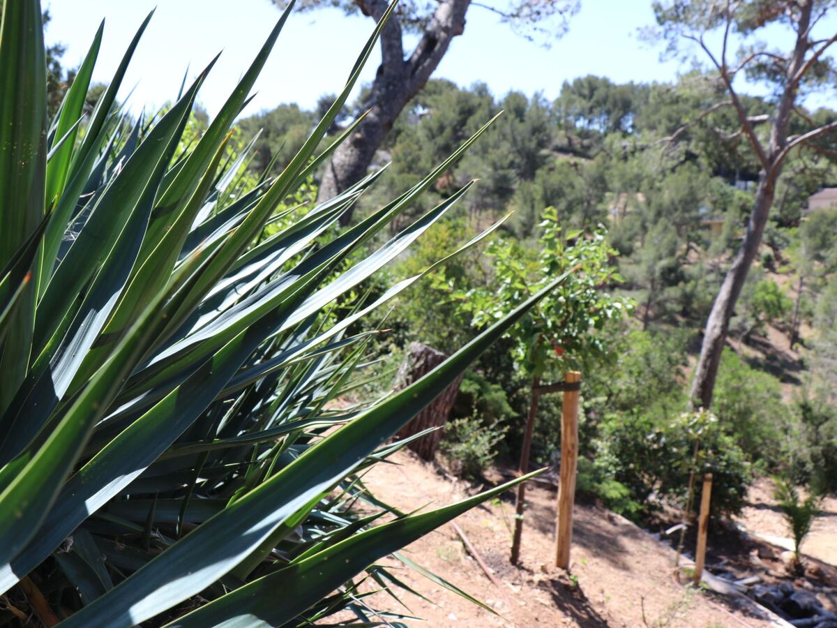 Villa Mesomax, appartement 6 pers. vue mer à Carqueiranne - Photo 36