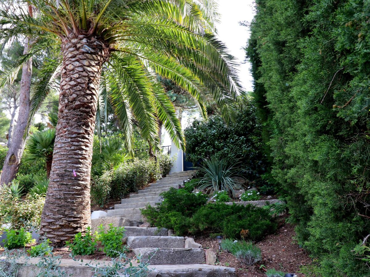 Villa Mesomax, appartement 6 pers. vue mer à Carqueiranne - Photo 41