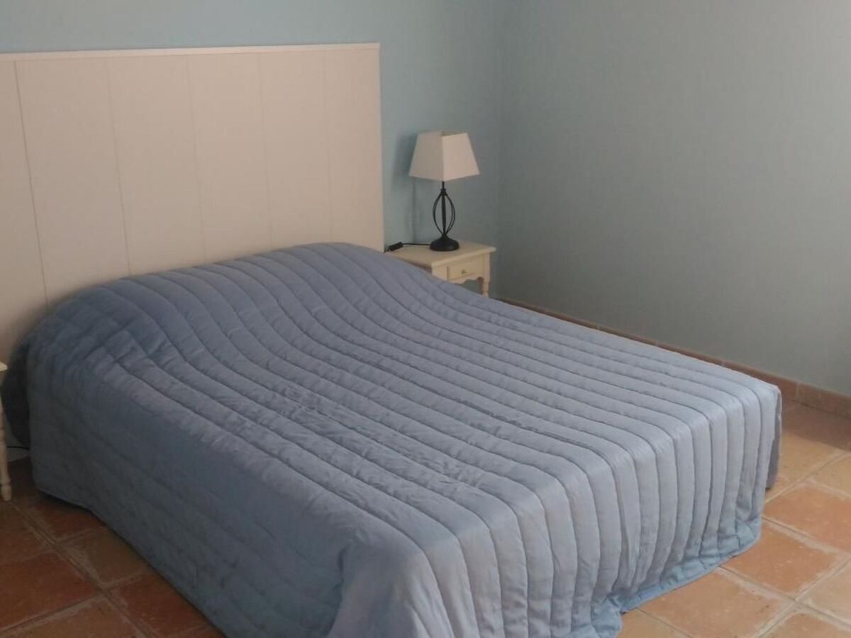 Maison 3 chambres avec piscine privée à Carces - Photo 3