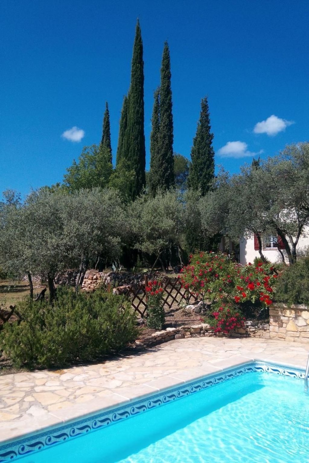 Maison 3 chambres avec piscine privée à Carces - Photo 12