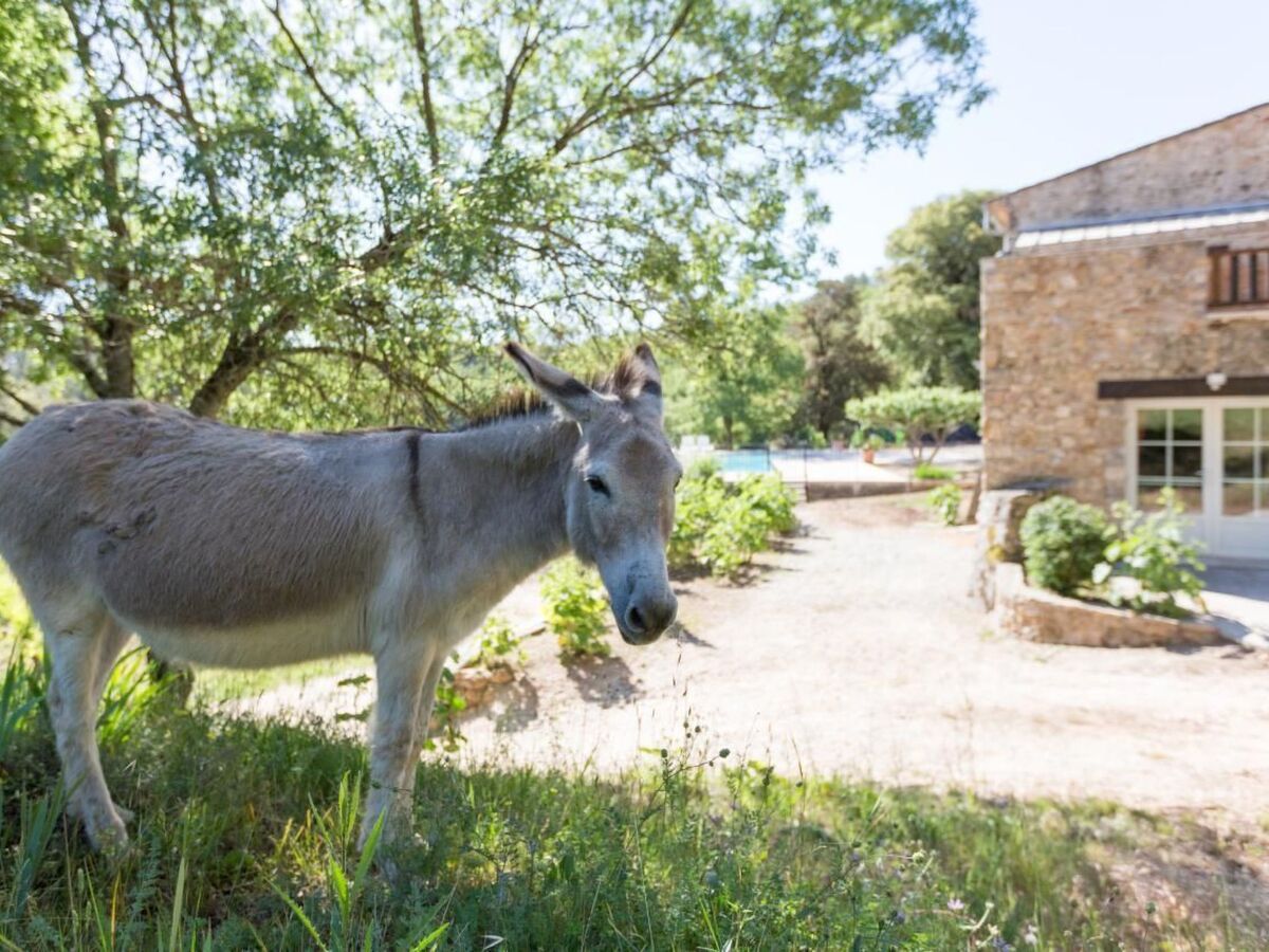 Studio en domaine viticole avec piscine à débordement - Photo 9