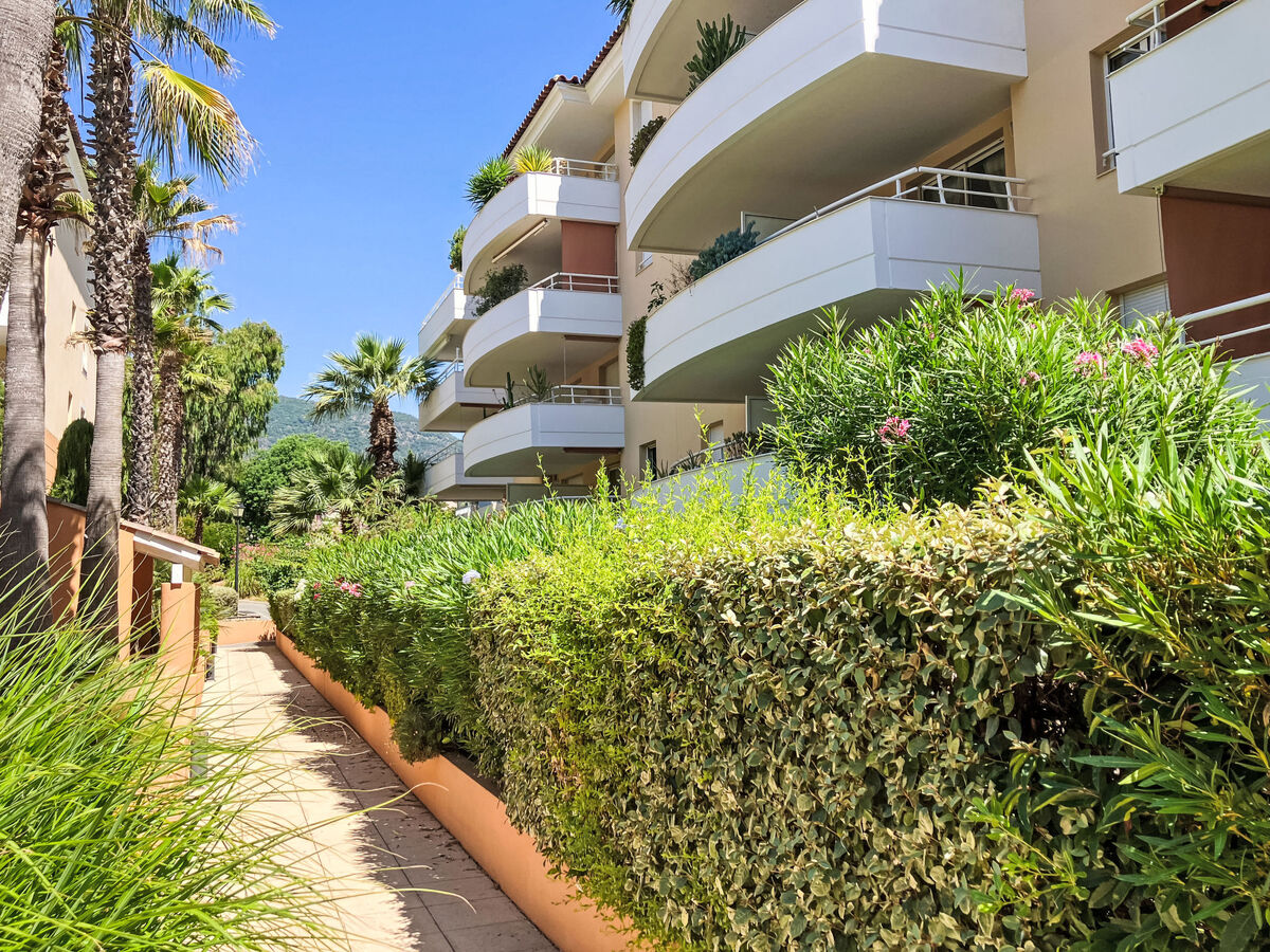 Appartement T2 terrasse à Cavalaire, piscine intérieure - Photo 6