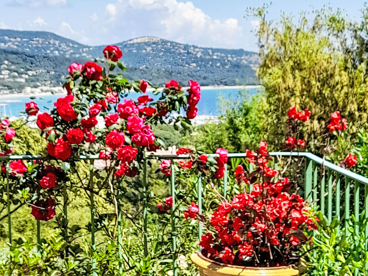 La Mignonette, maison 6 pers. avec vue mer à Cavalaire - Photo 3