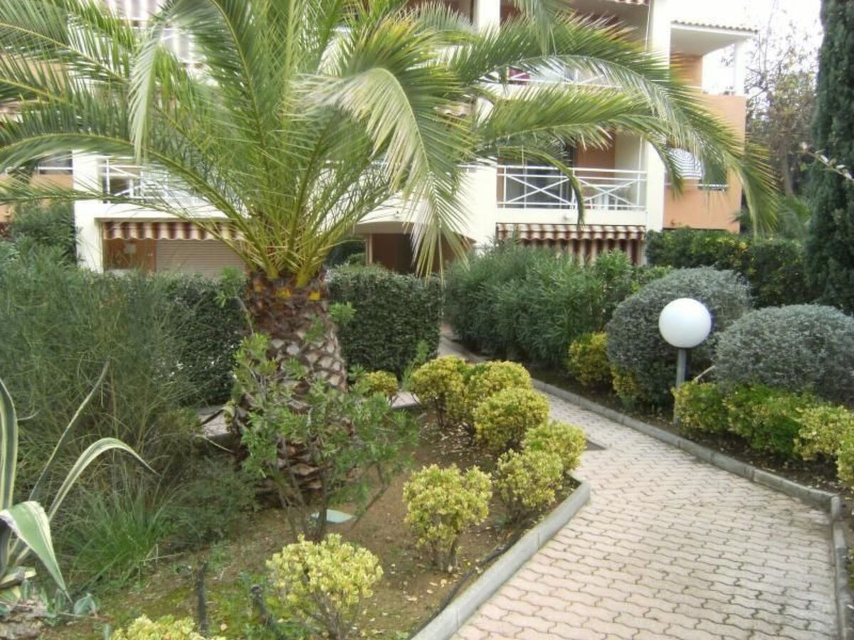 Appartement 4 pers. avec terrasse privée à La Croix-Valmer - Photo 5