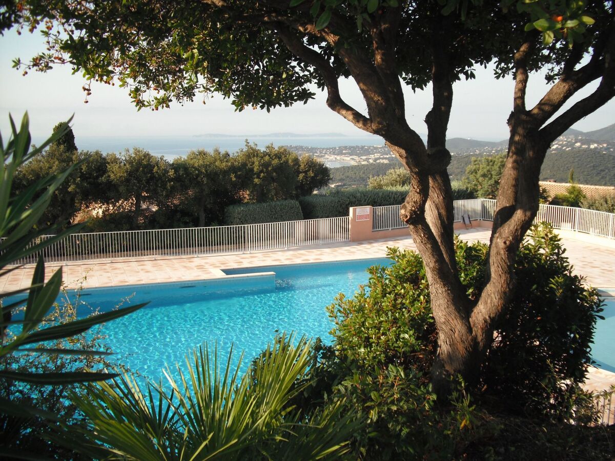 Appartement 2 pièces avec terrasse, piscine à La Croix-Valmer - Photo 1