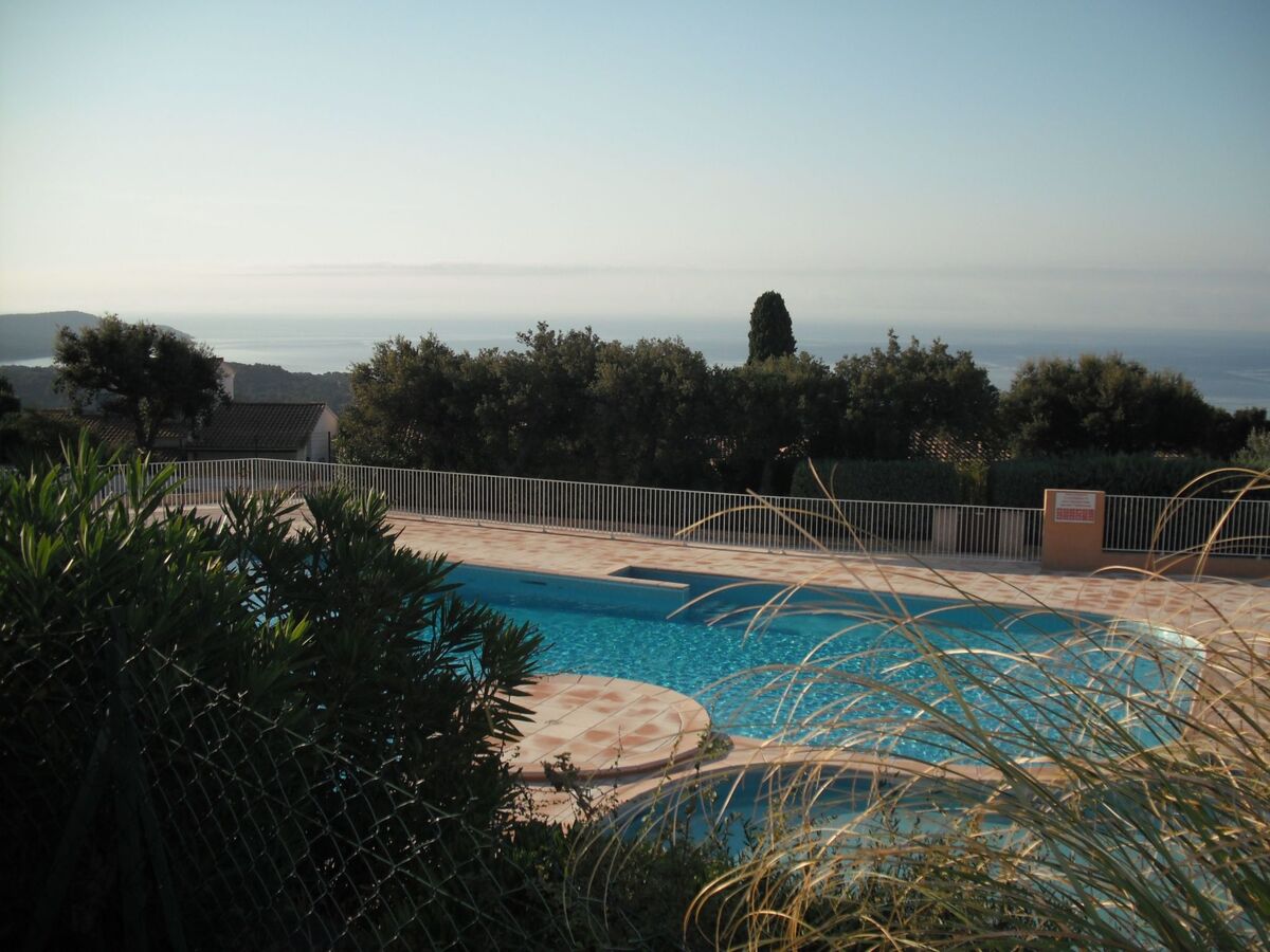 Appartement 2 pièces avec terrasse, piscine à La Croix-Valmer - Photo 3
