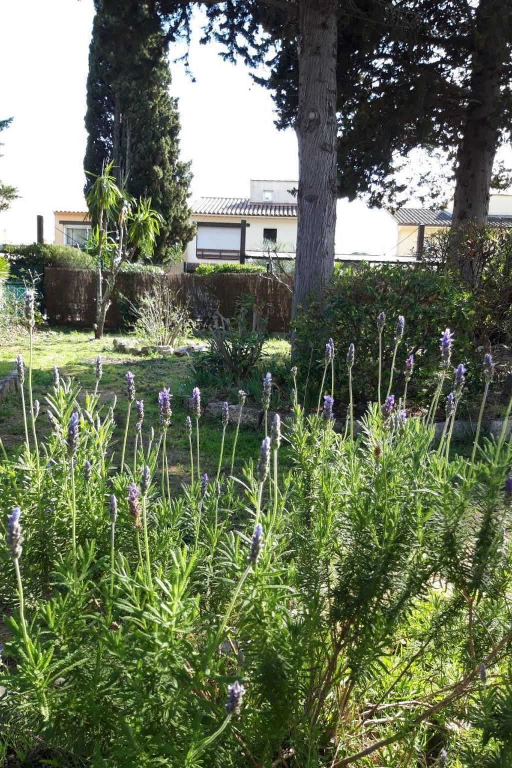 La Garonnette 5, maison 4 pers. à 150 m de la plage - Photo 13