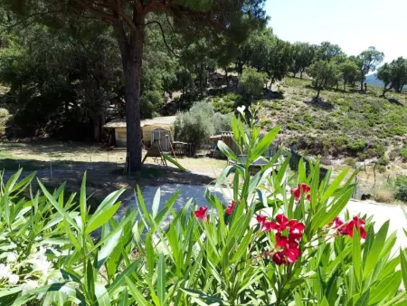 4 Zimmerhaus, Maison 6 personnes à Sainte Maxime - Photo 2