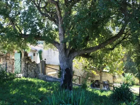 Maison 1.5 pièces Sainte-Maxime, 10 ha nature : photo 3