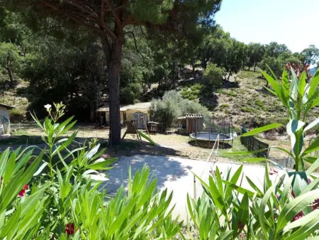 Maison 3 chambres à Sainte-Maxime, accès piscine : photo 7