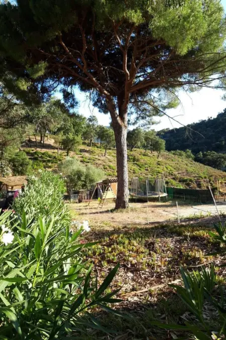 Maison 3 chambres à Sainte-Maxime, accès piscine : photo 33