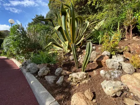 La petite maison Maximoise, Maison 3 personnes à Sainte Maxime : photo 14