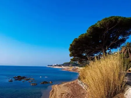 La petite maison Maximoise, Maison 3 personnes à Sainte Maxime : photo 16