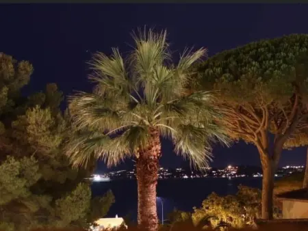 La petite maison Maximoise, Maison 3 personnes à Sainte Maxime : photo 17