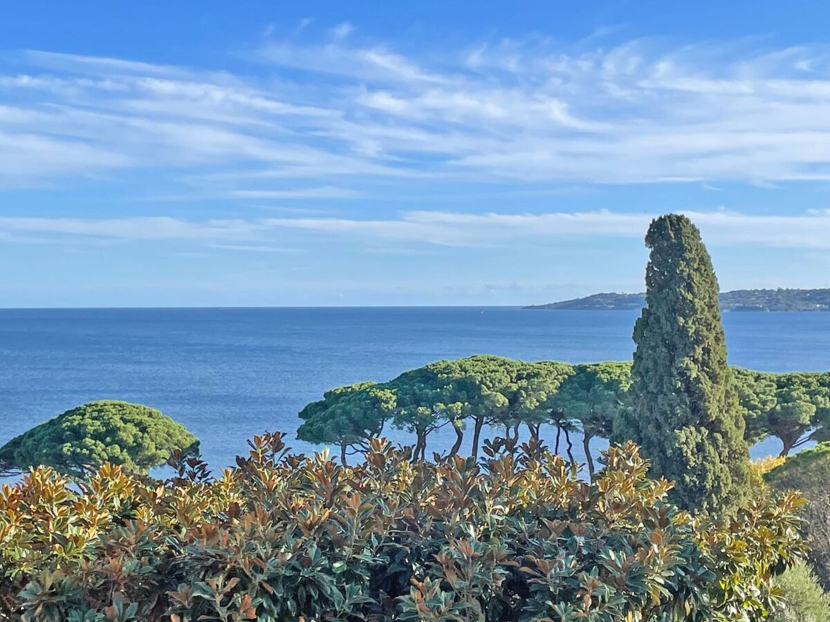 Studio 30m² Vue Mer - Sainte-Maxime, Terrasse & Piscine - Photo 3