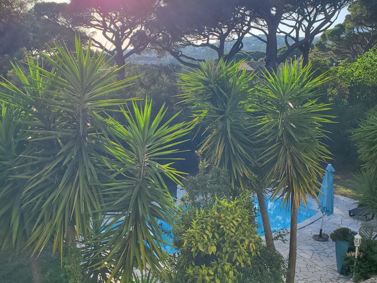 Maison 6 pers. avec piscine privée à Les Issambres - Photo 13