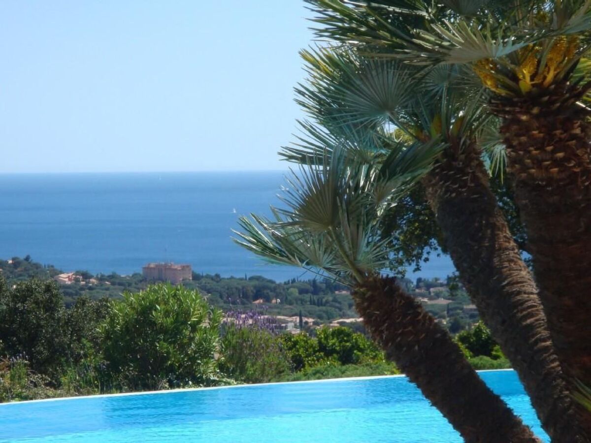 Appartement Les Palmiers aux Issambres, 2 chambres, accès piscine - Photo 1