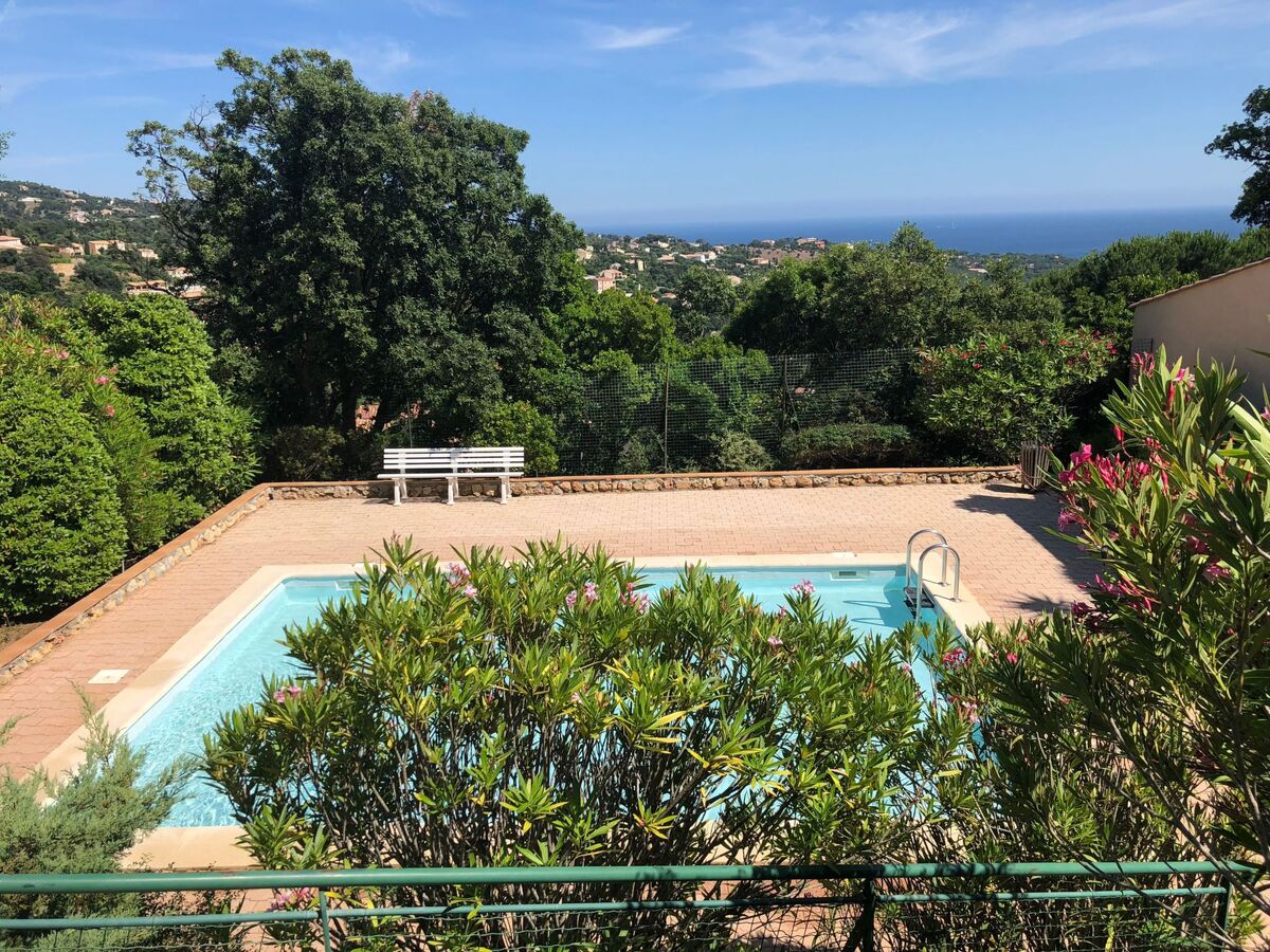 Les Palmiers – Maison 8 pers. avec piscine et tennis - Photo 29