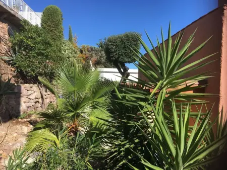 Villa 2 chambres avec piscine aux Issambres : photo 30