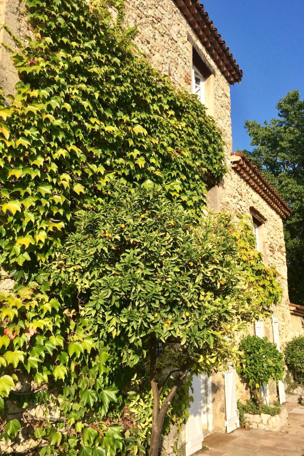 Bergerie de Peymeyan – Maison 10 pers. Fayence - Photo 5