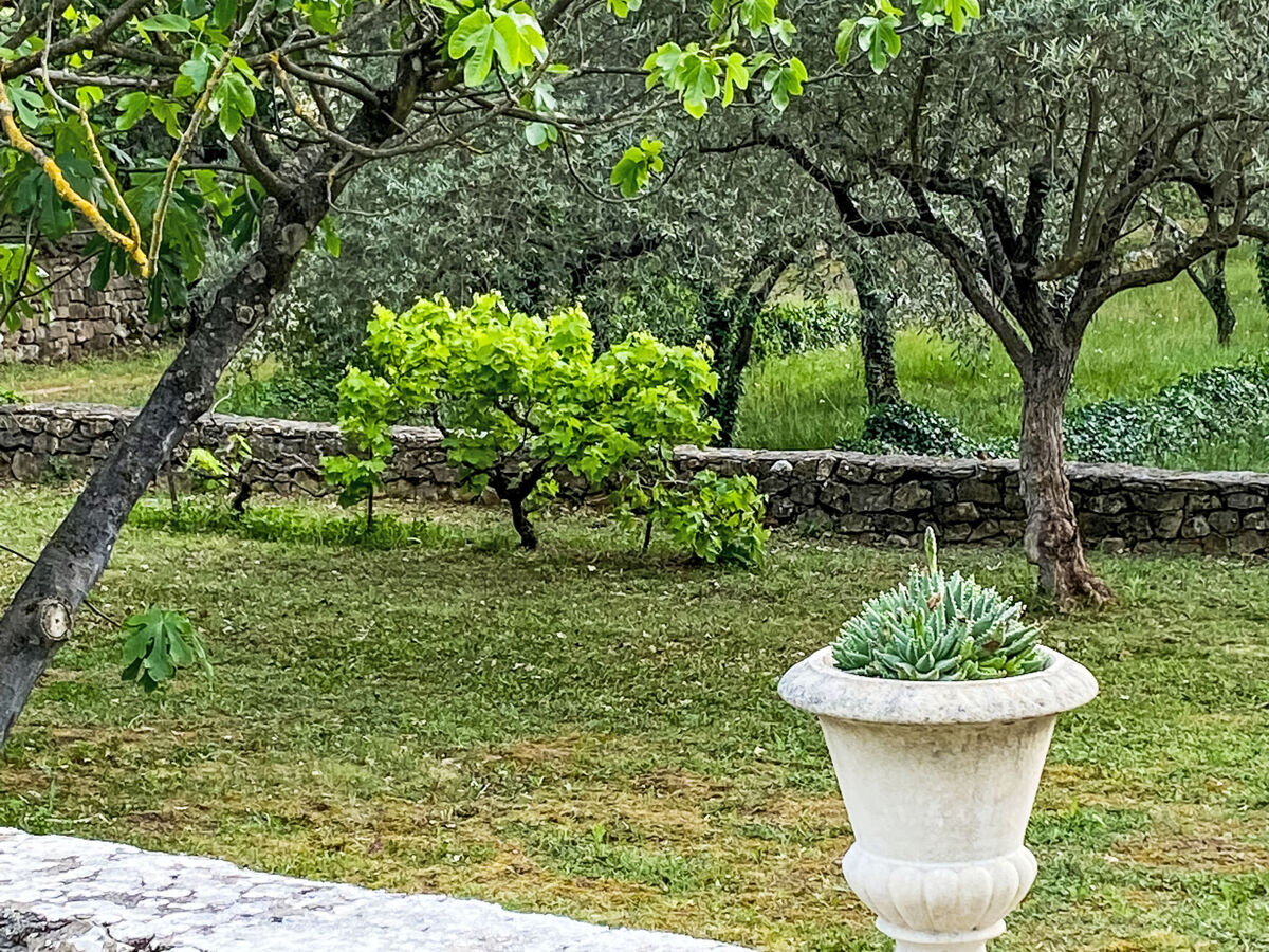 Mas Les Heures Bleues, 14 pers., piscine et 2 ha à Lorgues - Photo 20