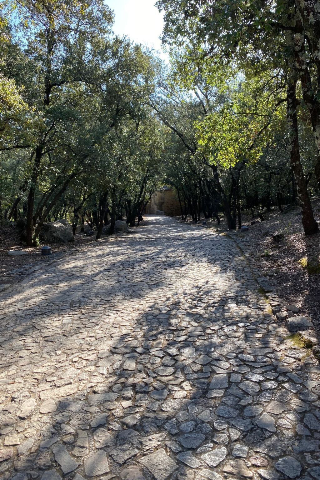 Mas Les Heures Bleues, 14 pers., piscine et 2 ha à Lorgues - Photo 42