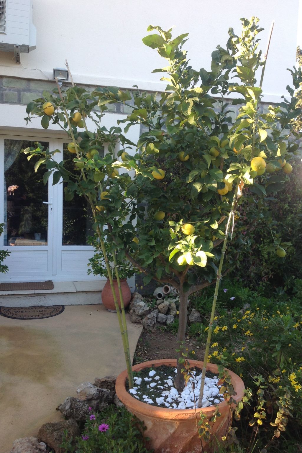 Appartement rez-de-jardin 400 m de la plage à Fréjus - Photo 2