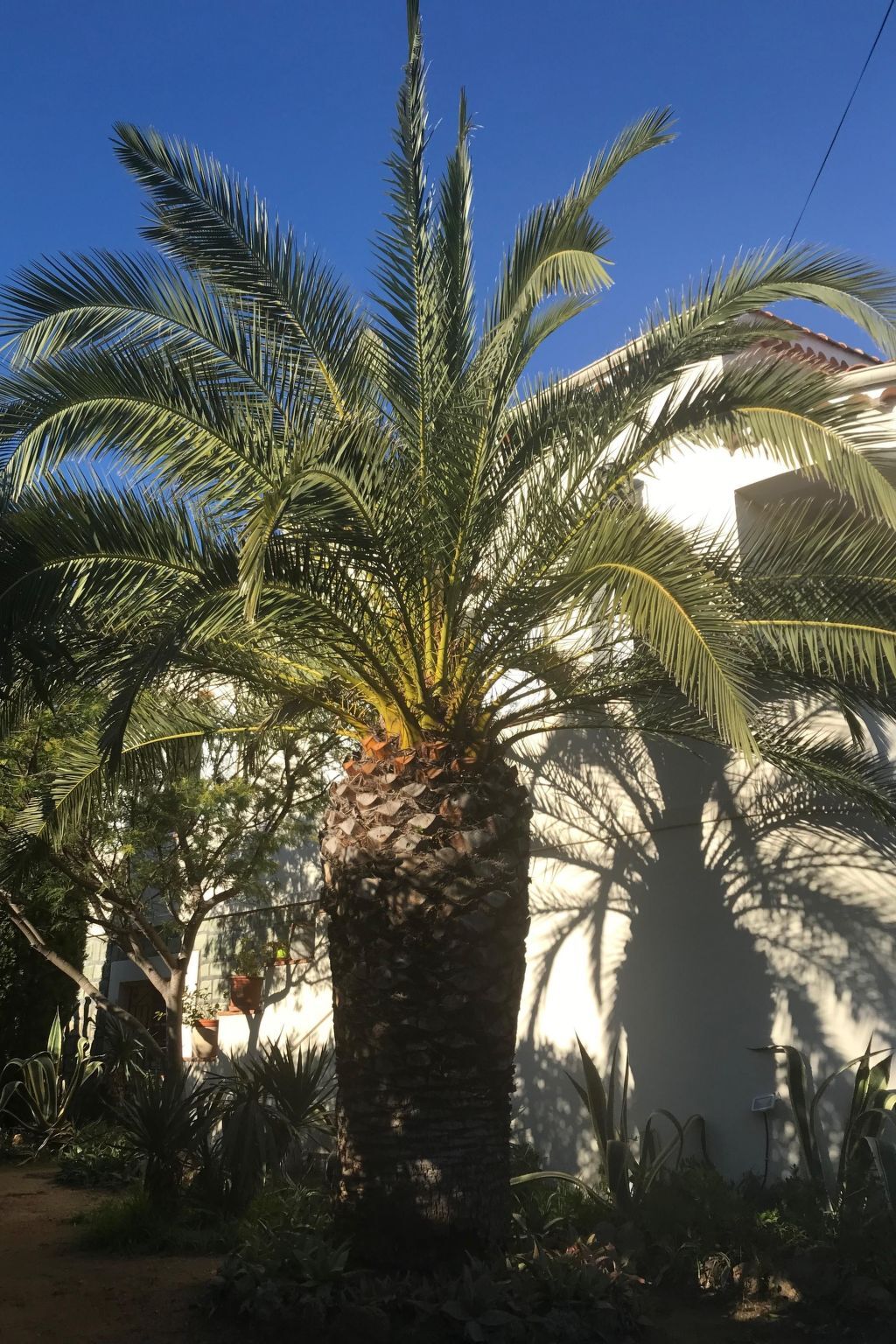 Appartement rez-de-jardin 400 m de la plage à Fréjus - Photo 20