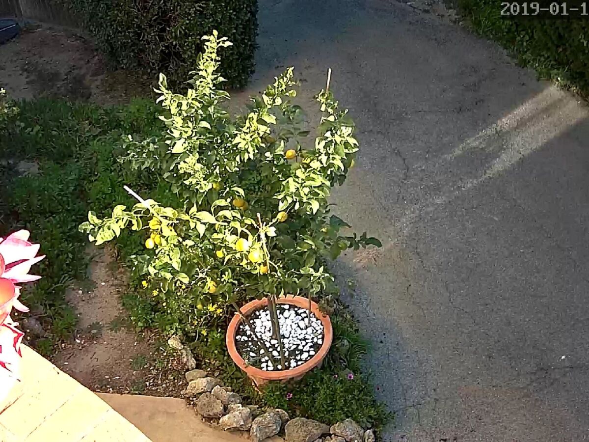 Appartement rez-de-jardin 400 m de la plage à Fréjus - Photo 28