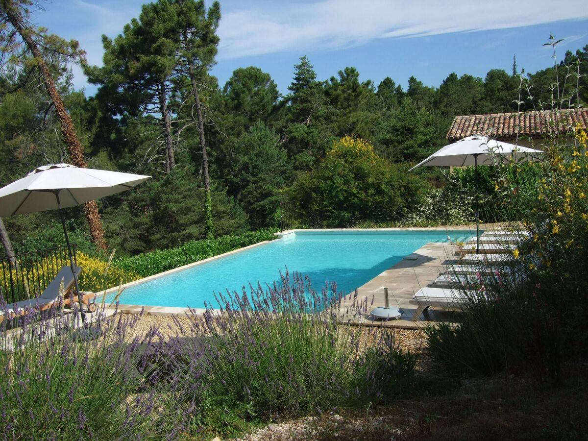 Appartement 6 pers. avec piscine et jardin à Montauroux - Photo 1