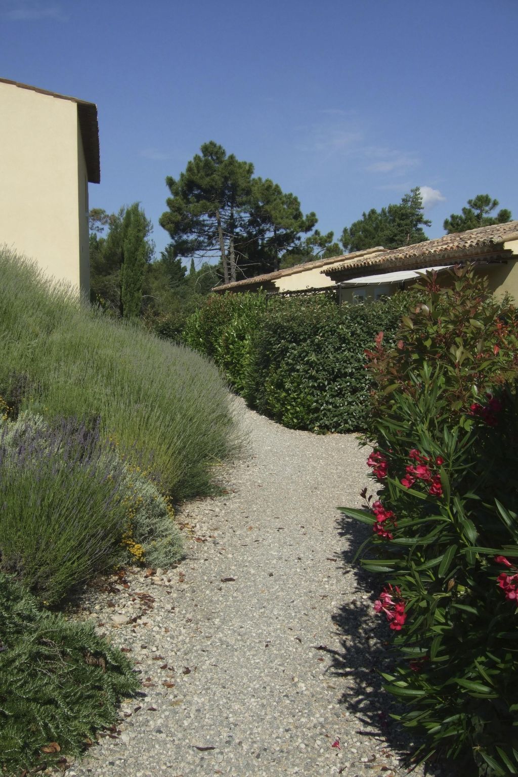 Appartement 50m² avec terrasse et piscine à Montauroux - Photo 26