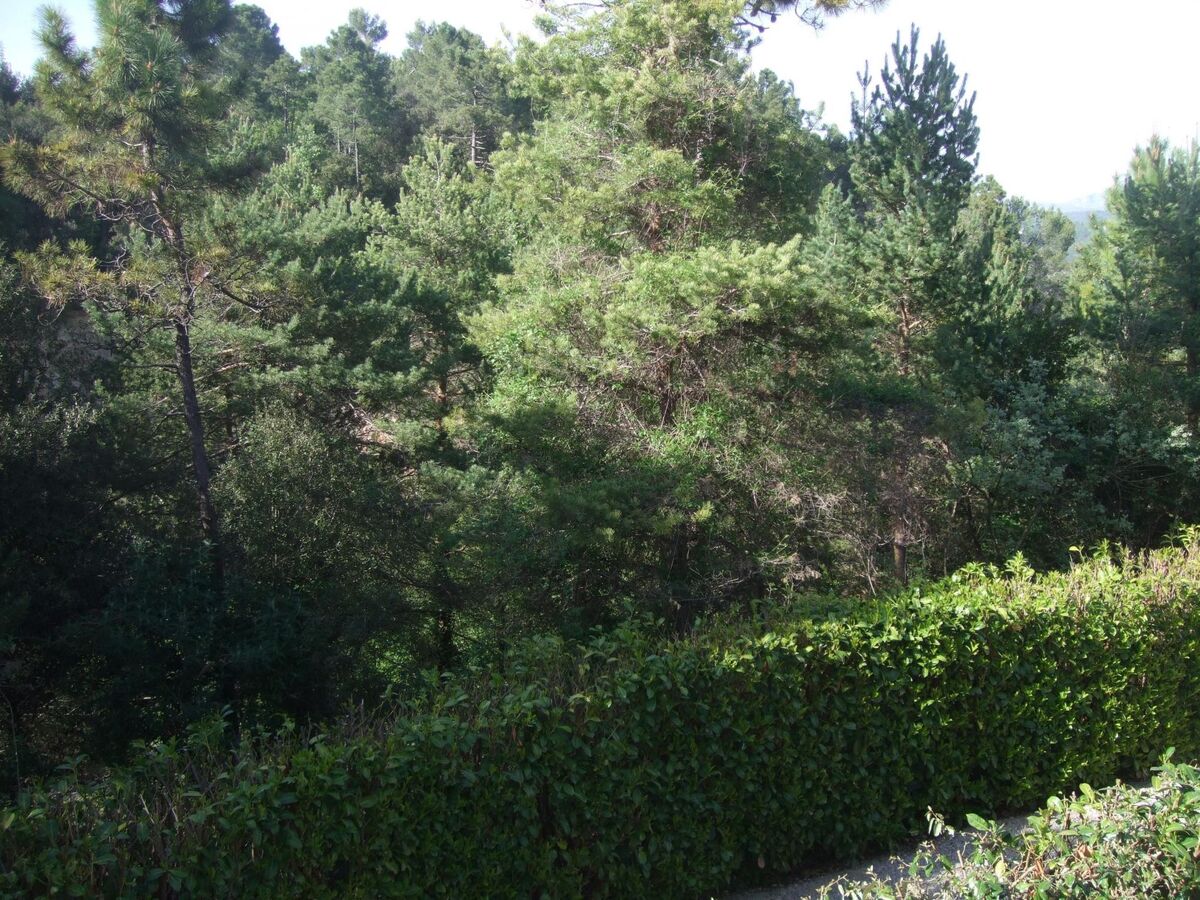Appartement 50m² avec piscine à Montauroux - Photo 30