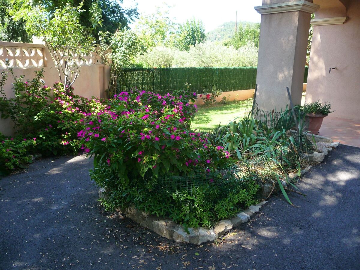 Appartement 2 chambres avec jardin privatif à Vidauban - Photo 10