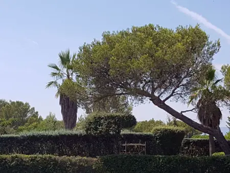 Die Sonne der Côte d'Azur, Location Maison 7 personnes à Saint Raphaël - Photo 24