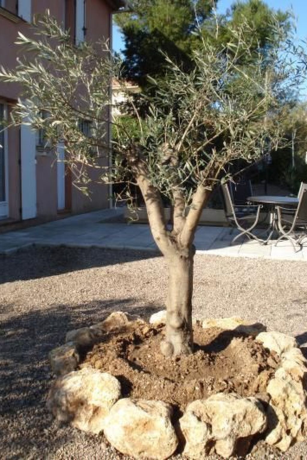 Laurier – Appartement 4 pers. à 200 m de la plage - Photo 3