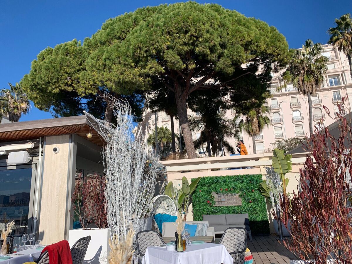 Appartement Palais Miramar, 50m de la plage à Cannes - Photo 20