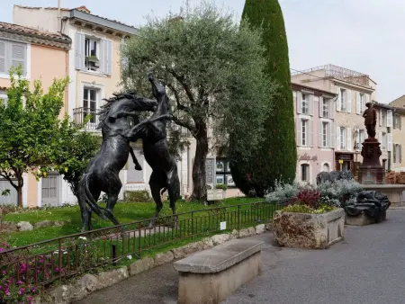 Appartement Mougins avec jardin privé et piscine : photo 25