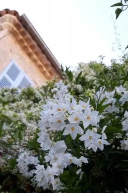Appartement Mougins avec jardin privé et piscine : photo 28