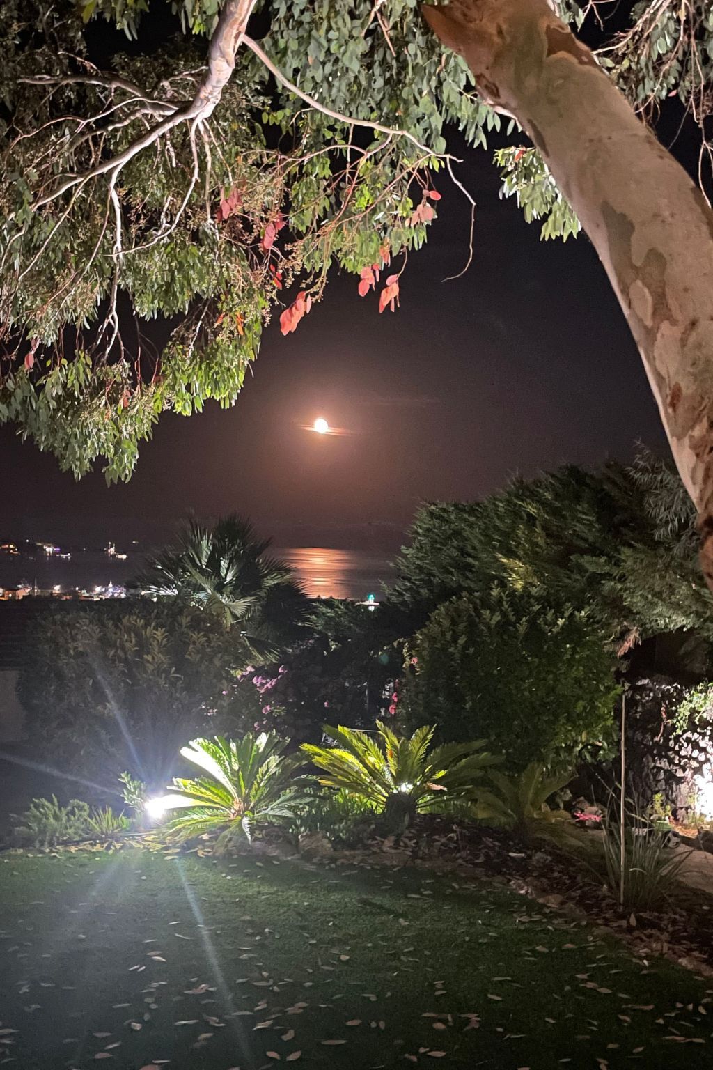 Villa moderne 6 pers. à Golfe Juan, vue mer et piscine - Photo 32