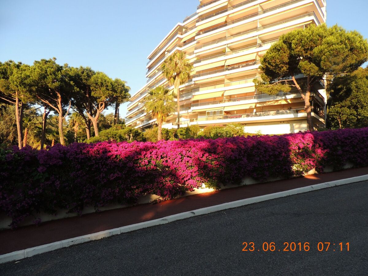 Studio Vue mer à 100m de la plage, Golfe Juan - Photo 14
