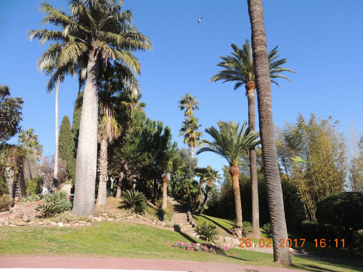 Studio Vue mer à 100m de la plage, Golfe Juan - Photo 18