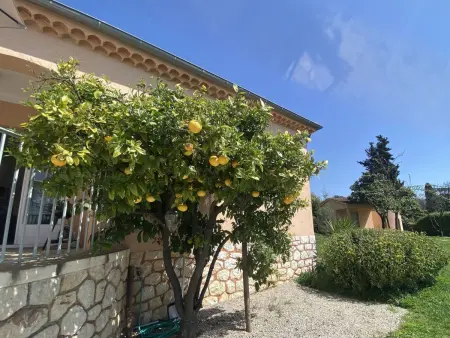 Villa 131m² piscine privée et grand jardin à Vence : photo 32